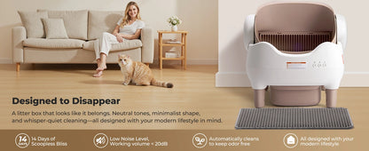 SmartCat Box