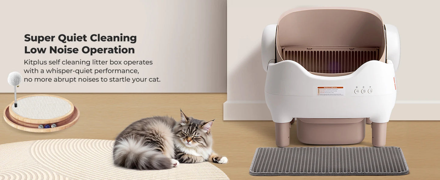 SmartCat Box