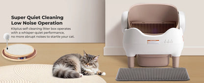 SmartCat Box