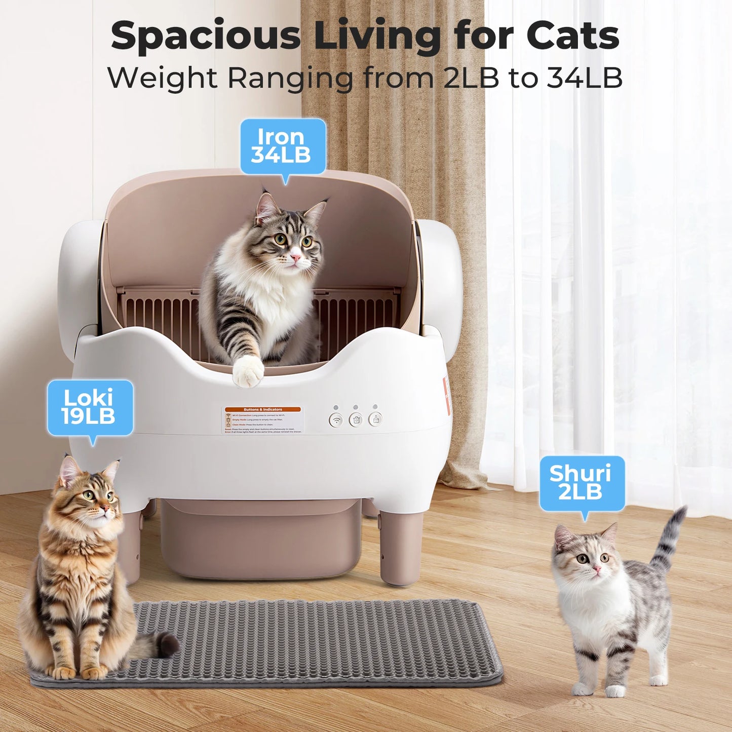 SmartCat Box
