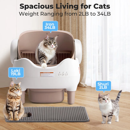 SmartCat Box