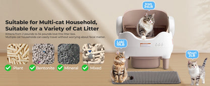 SmartCat Box