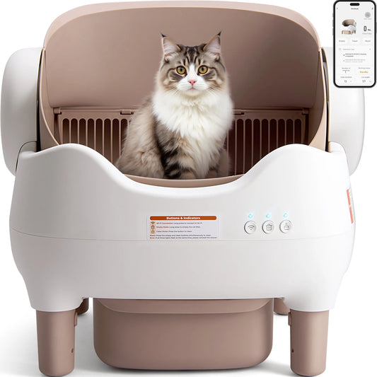 SmartCat Box